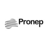 pronep